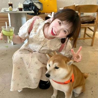 大宋少年志